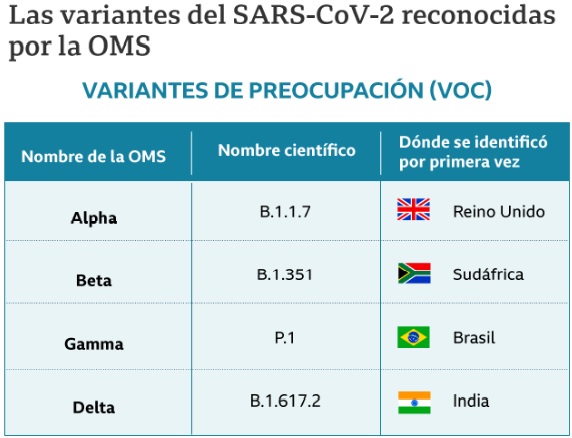 Los Gr Ficos Que Muestran Todas Las Variantes De Sars Cov