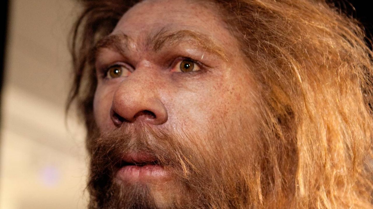 La extraña teoría que defiende que los neandertales no se extinguieron ...