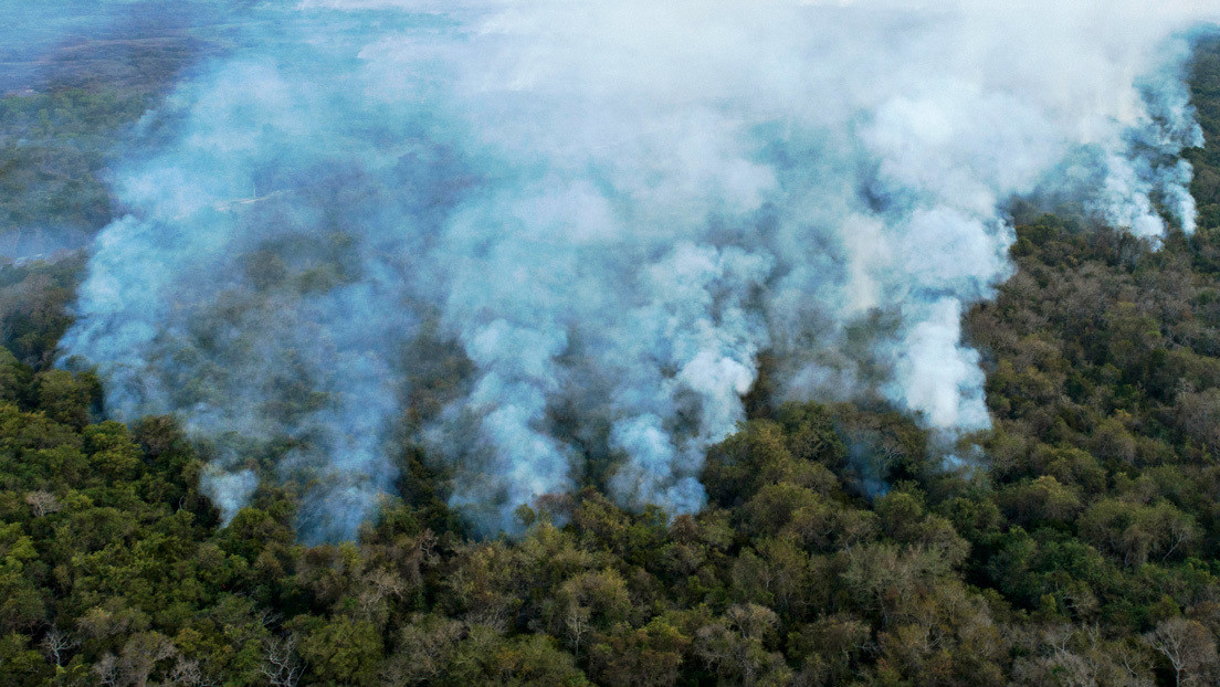 El Pantanal, santuario de la biodiversidad, se incendia