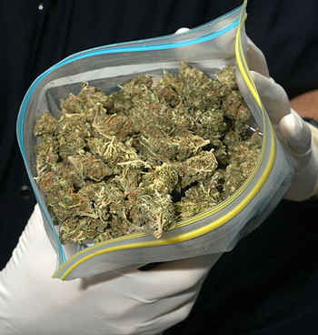Marijuana Buds-Photo courtesy Saanich News