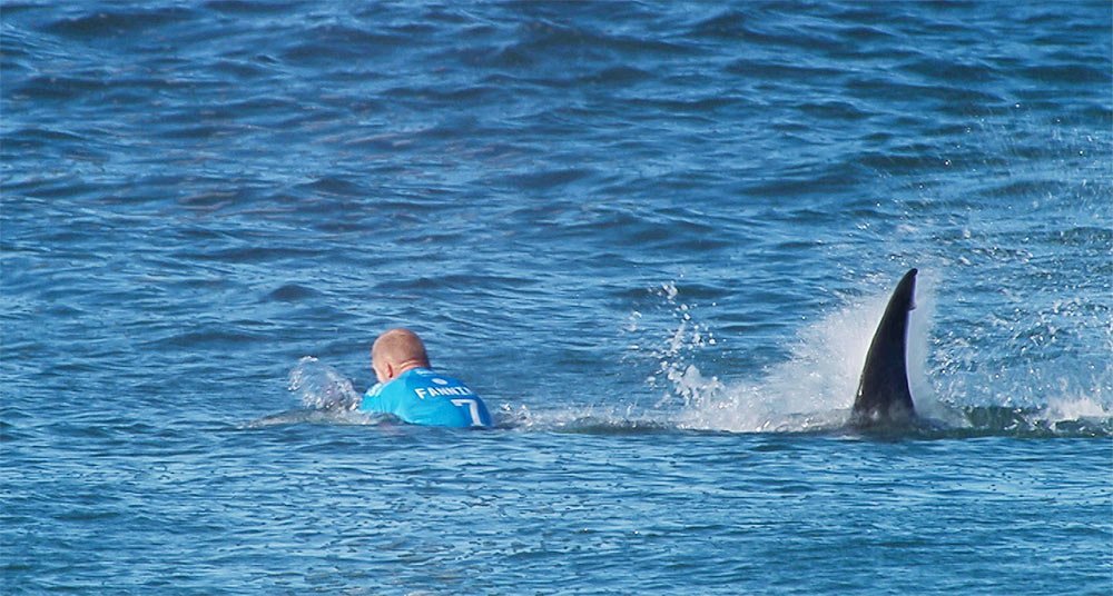 ataque a surfista