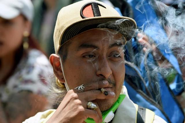 Corte Suprema de México despenaliza el uso lúdico de la marihuana