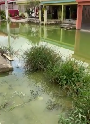 Moradores de Villa Mella llevan tres meses con agua estancada