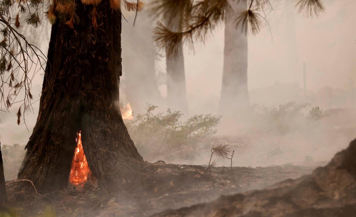 Un incendio en California amenaza 17.000 edificios pese a la mejora del clima