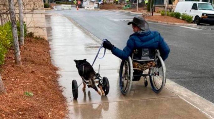 Un amor de cuadro ruedas; hombre adopta perro con su misma condición