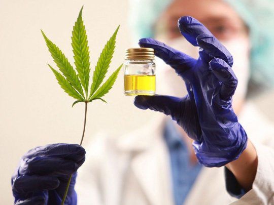 El Congreso de Panamá aprueba el cannabis medicinal