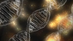 Mutación genética - ADN - Autismo