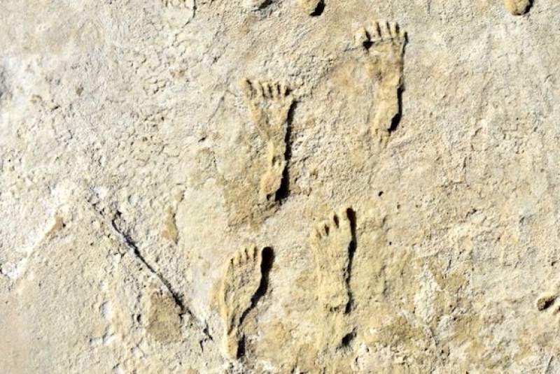 Huellas de 23.000 años reescriben la historia humana de América
