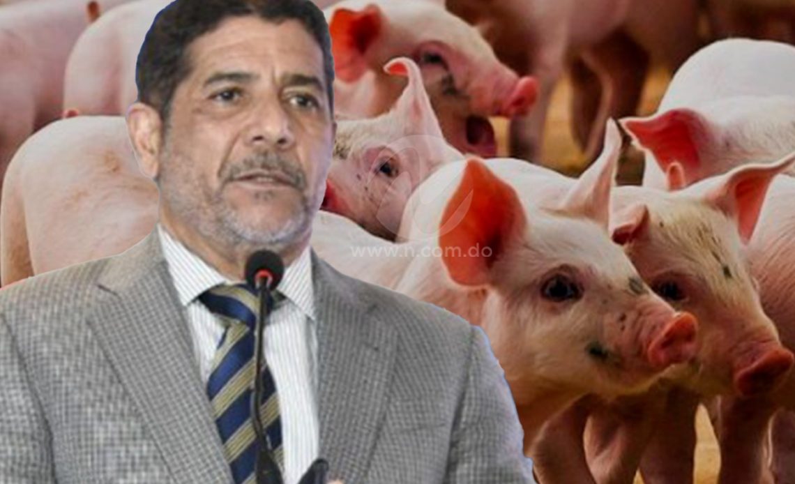 Por brote de fiebre porcina declaran estado de emergencia regional; ministro de Agricultura dice en RD está contralada