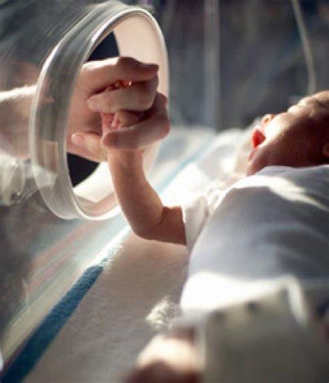 ¿Cuáles cuidados recibe un bebé que nace a destiempo? el Hospital Pediátrico Hugo Mendoza lo explica hoy, Día Mundial del Prematuro