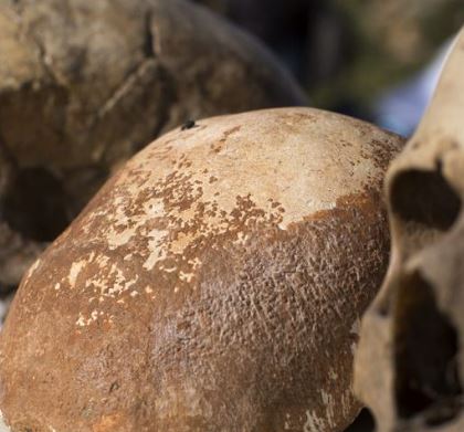 Fósiles etíopes de Homo sapiens más antiguos de lo que se creía