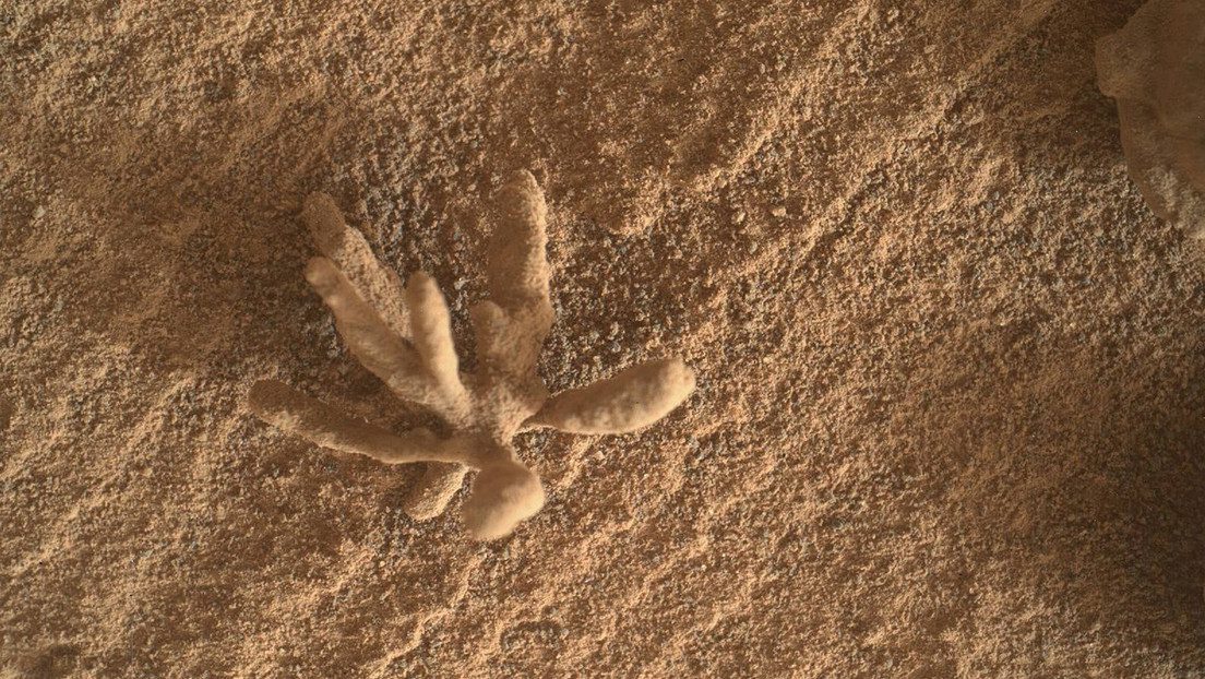 Róver Curiosity de la NASA descubre coral en la superficie de Marte