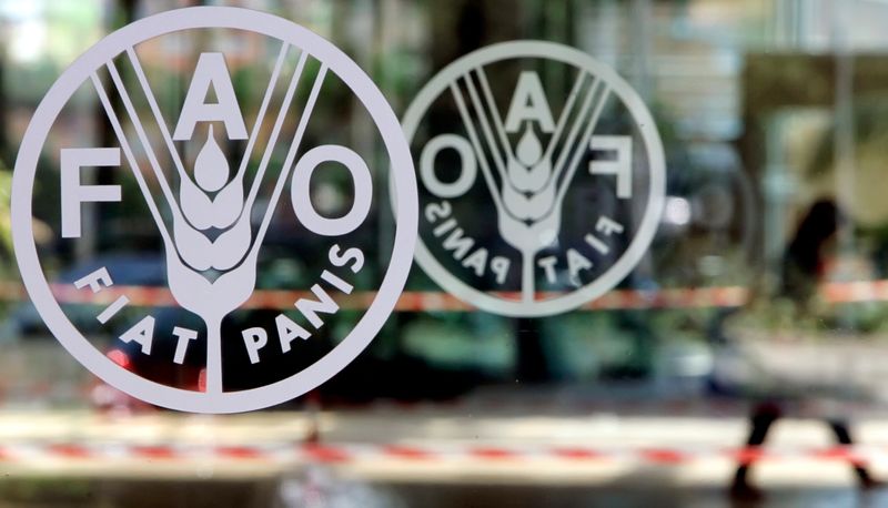Guerra en Ucrania amenaza la seguridad alimentaria mundial, dice la FAO