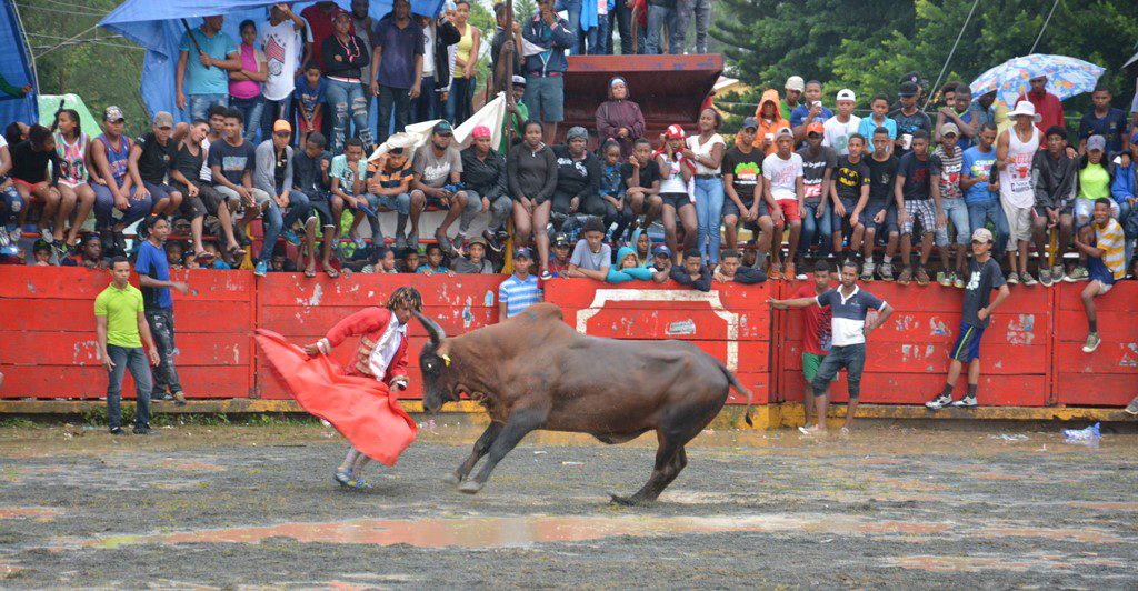 Senado aprueba declarar corridas de Toros de El Seibo como Patrimonio Cultural Inmaterial de RD