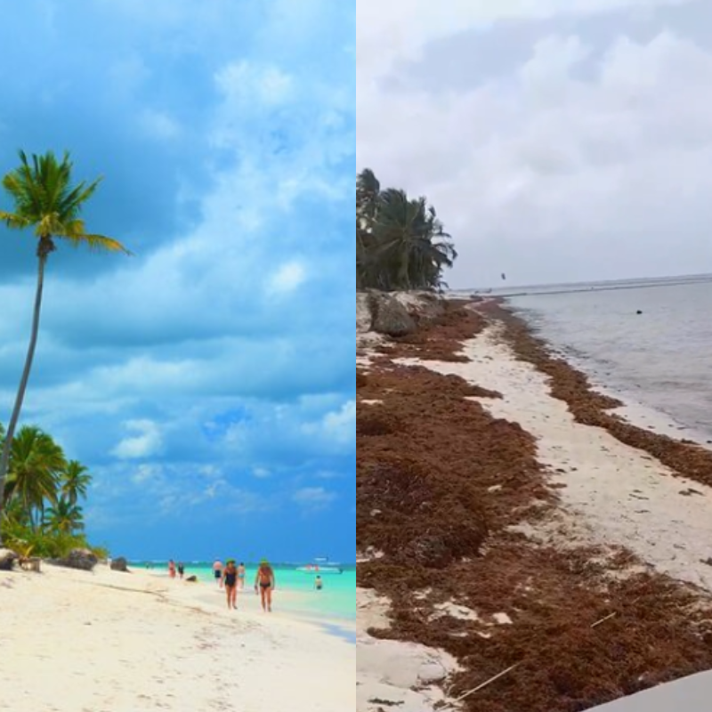 Playa Cabeza de Toro, antes y después ante problemática de sargazo