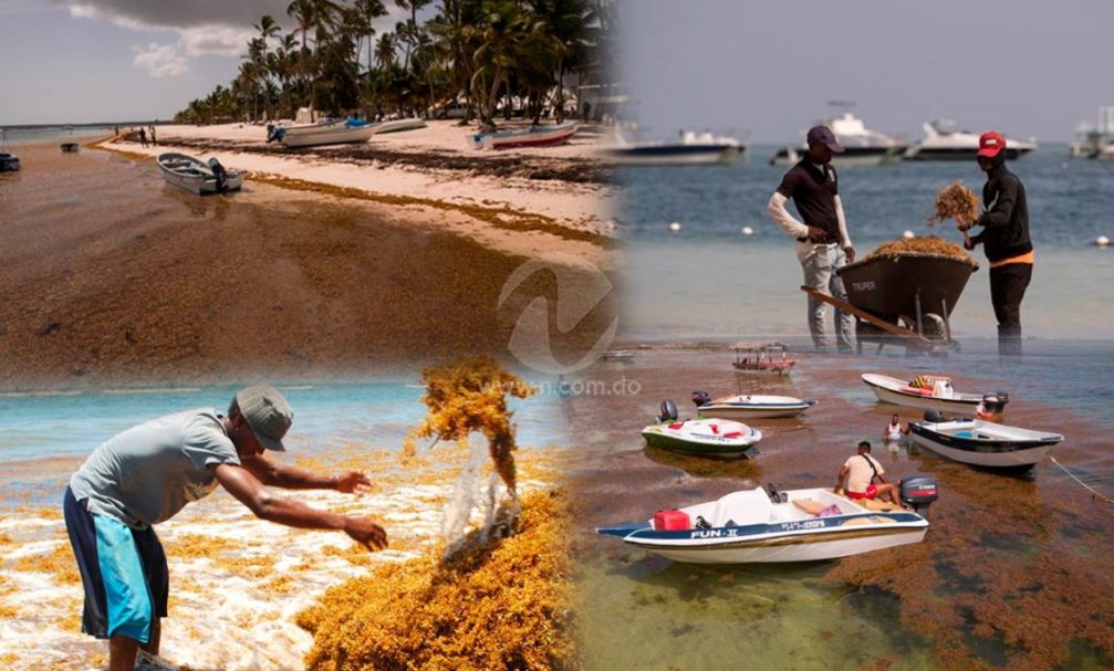 El sargazo continúa afectando playas en República Dominicana