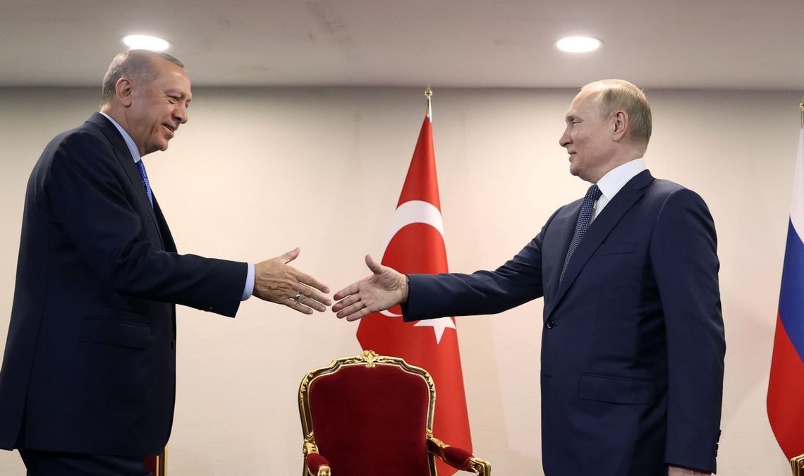 Erdogan hablará con Putin sobre Ucrania, cereales y Siria