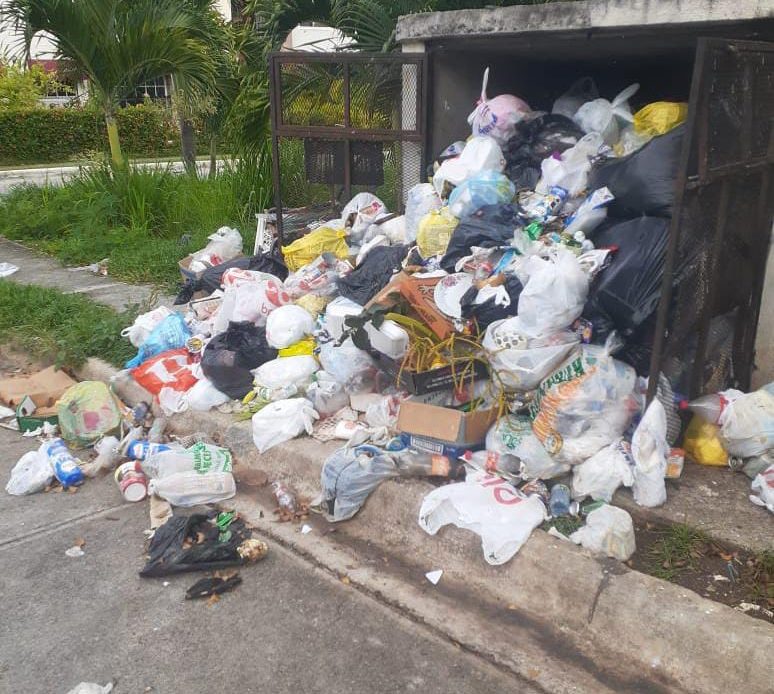 Cúmulo de basura en Carmen Renata III afecta a moradores