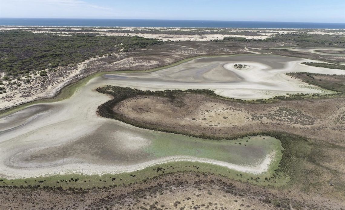 Sequía y sobreexplotación acaban con laguna más grande de Doñana en España