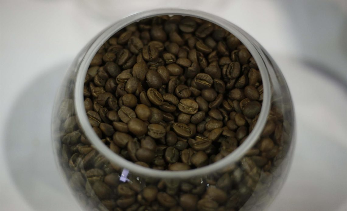 El Salvador eleva ingresos por exportaciones de café en 53.33 % hasta julio