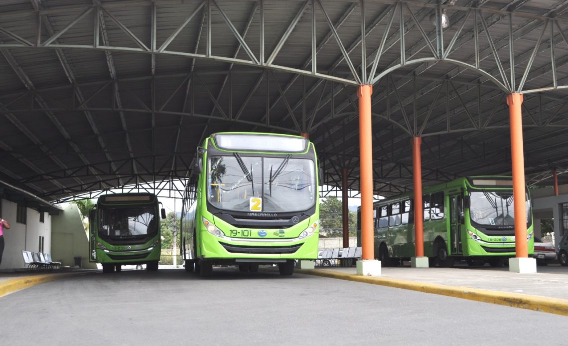 A partir mañana lunes, la Oficina Metropolitana de Servicios de Autobuses (OMSA) pondrá en funcionamiento varias rutas alternativas para estudiantes universitarios de Santo Domingo y Santiago.