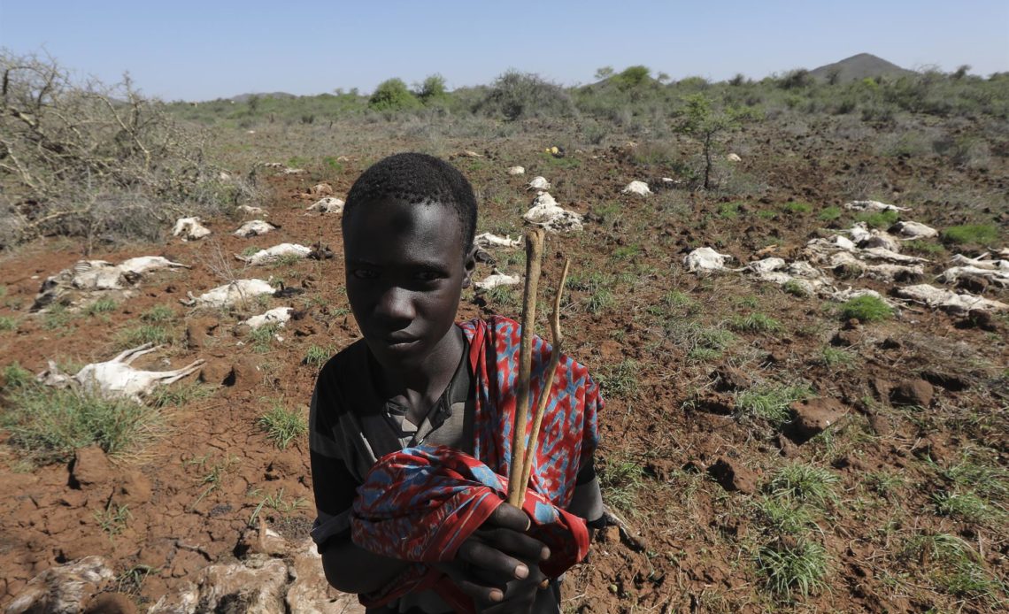 3.5 millones de personas en Kenia son afectadas por la intensa sequía