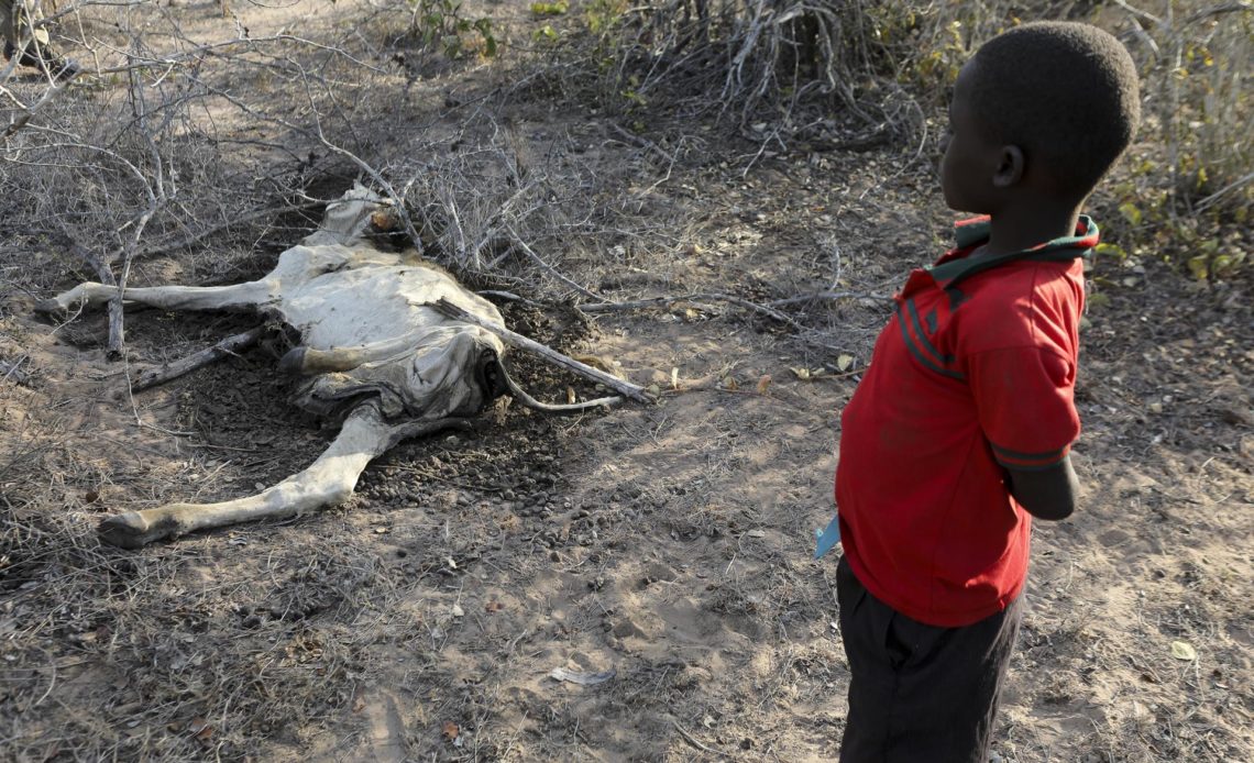 Sequía en Kenia empeora y empuja al hambre a unos 942.000 niños
