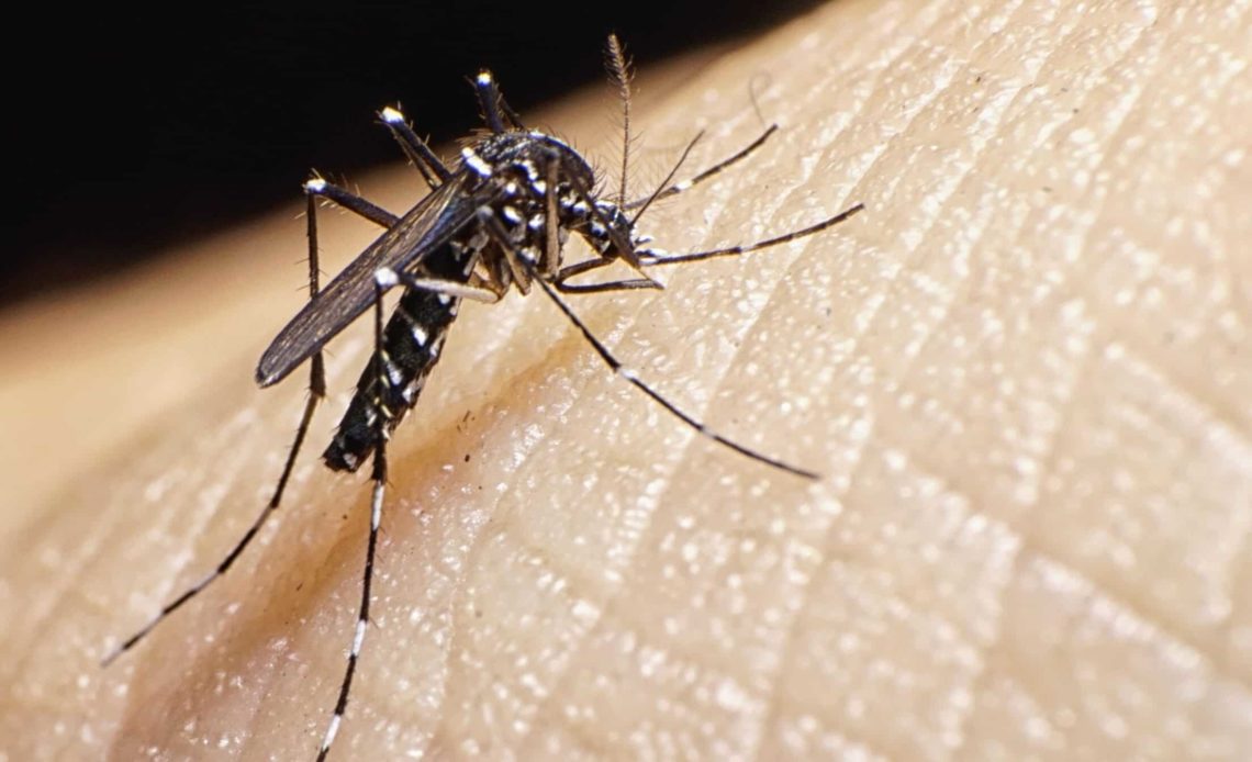 República Dominicana registra 8,340 casos de dengue