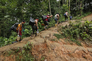 Más de 243.000 migrantes irregulares cruzaron la selva del Darién en 2022