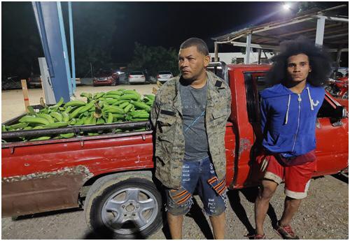 Policía apresa a dos de cinco personas que robaban plátanos de finca en Esperanza