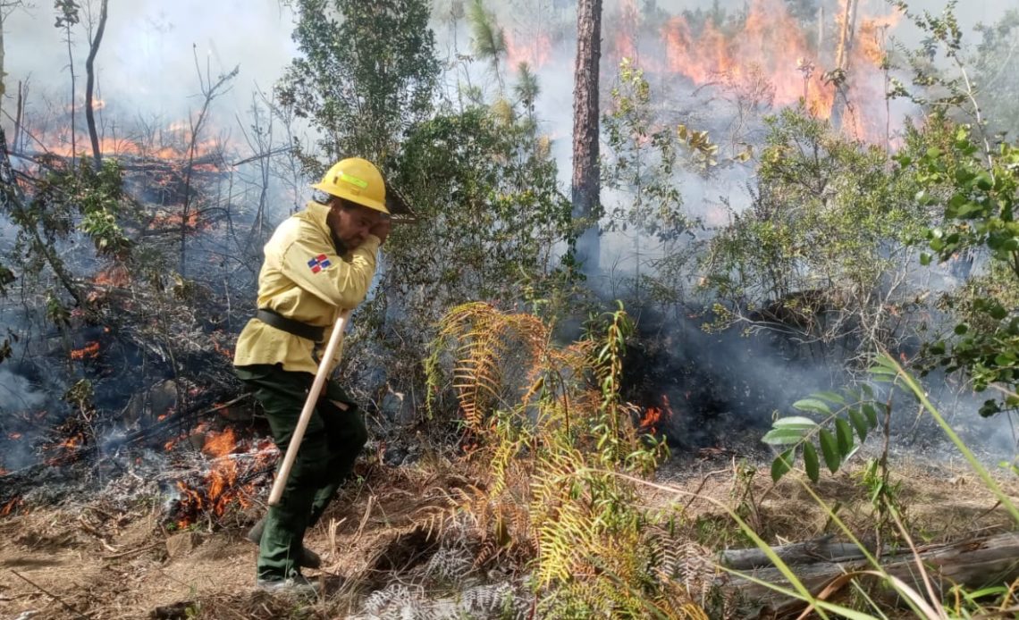 Medio Ambiente sigue velando por bosques del país ante inicio de temporada alta de incendios forestales