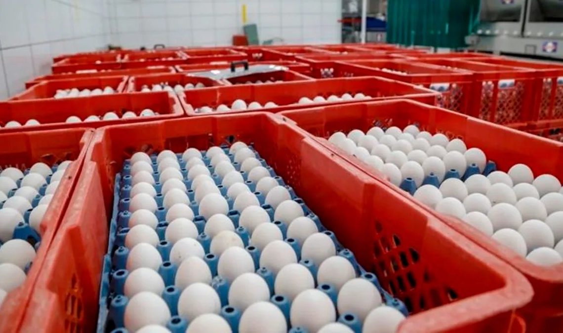 Fuerza del Pueblo exige al gobierno dejar sin efecto suspensión de exportaciones de huevos