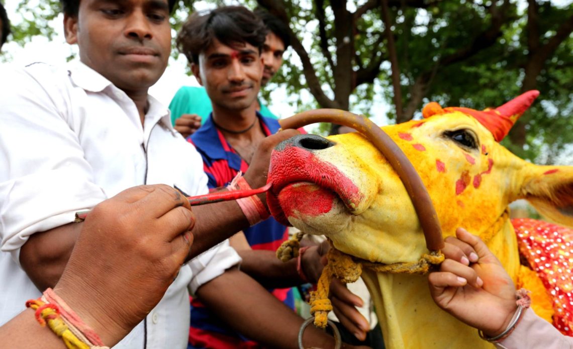 Cancelado el día de abrazar vacas en India, llamado a sustituir San Valentín