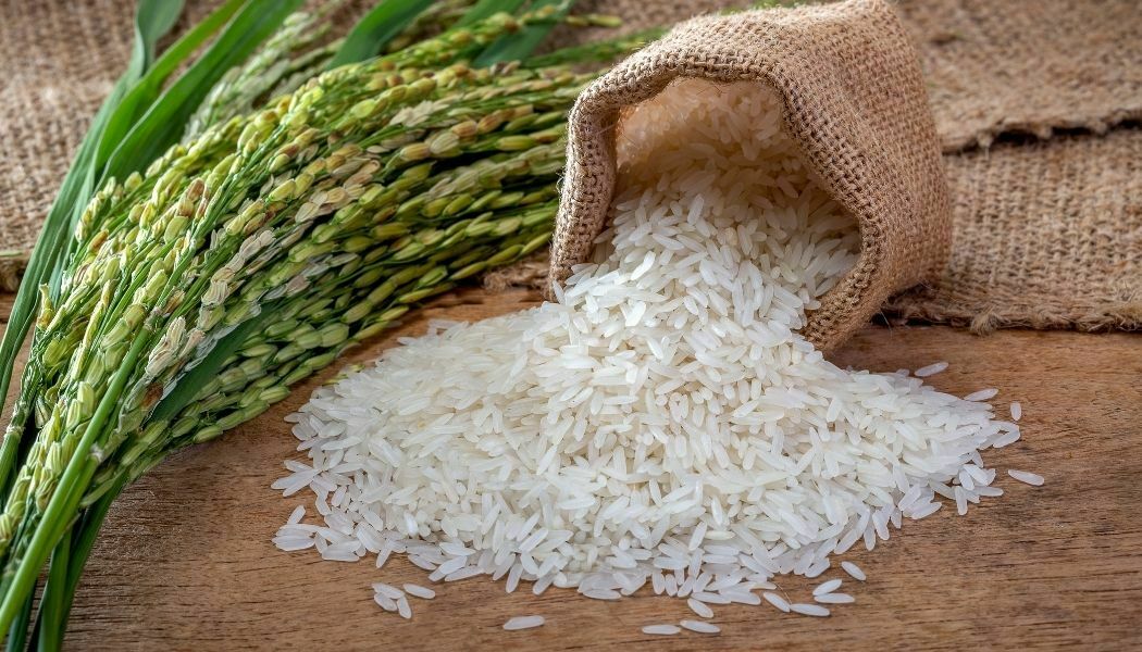 Agricultura destaca la autosuficiencia de país en producción de arroz