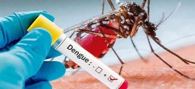 Dengue SNS