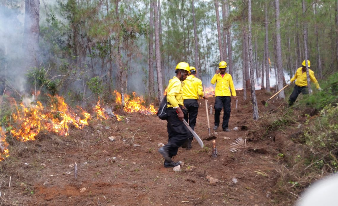Medio Ambiente exhorta a ciudadanía prevenir los incendios forestales