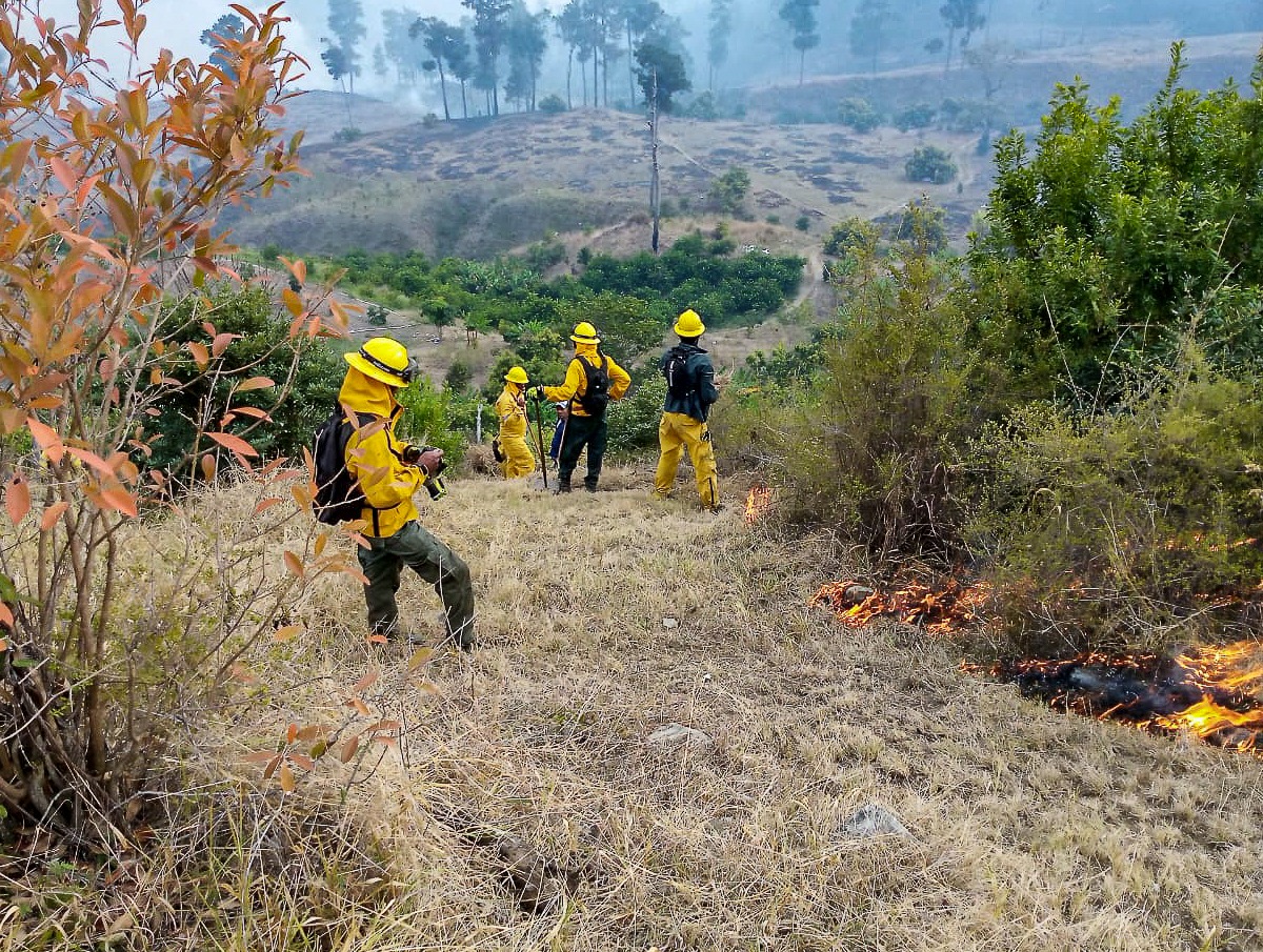 Unidades de bomberos forestales combaten incendios en diversos puntos del país