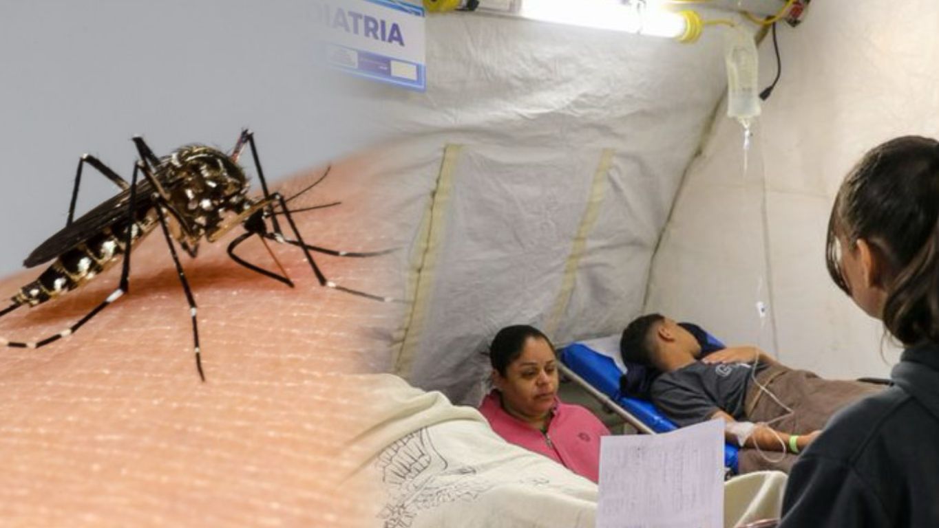 Brasil supera las 1,000 muertes por dengue y se aproxima a vencer récord