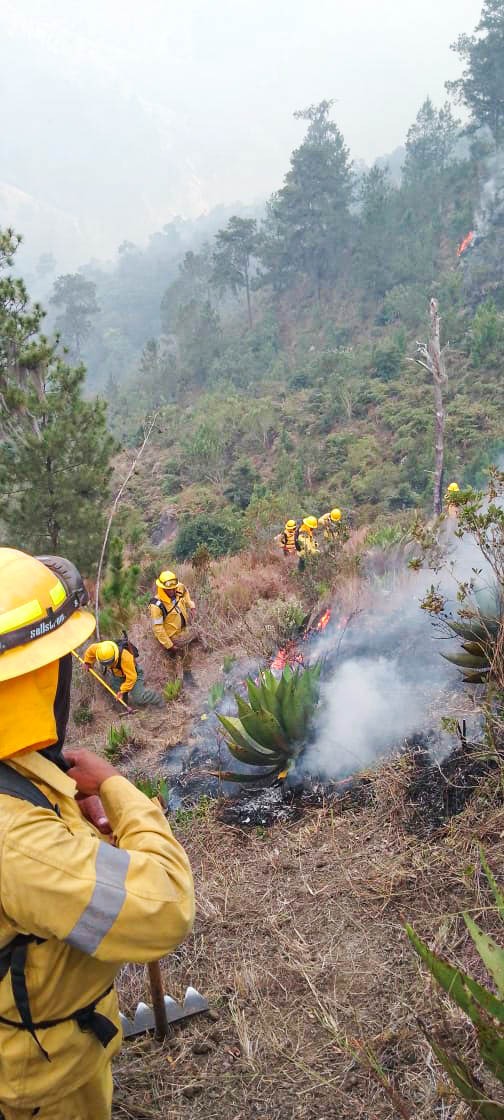 Incendio en Parque Nacional José del Carmen Ramírez está controlado; afectó 2,000 héctareas