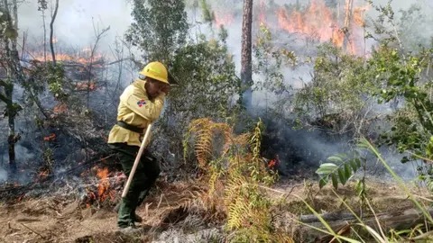 Bomberos forestales combaten incendio en Parque Nacional José del Carmen Ramírez