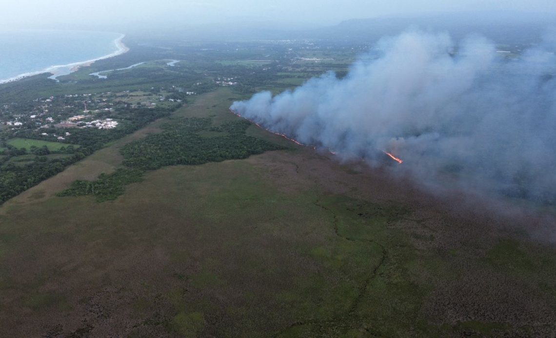 Guardaparques y bomberos forestales combaten incendio en lagunas Cabarete y Goleta