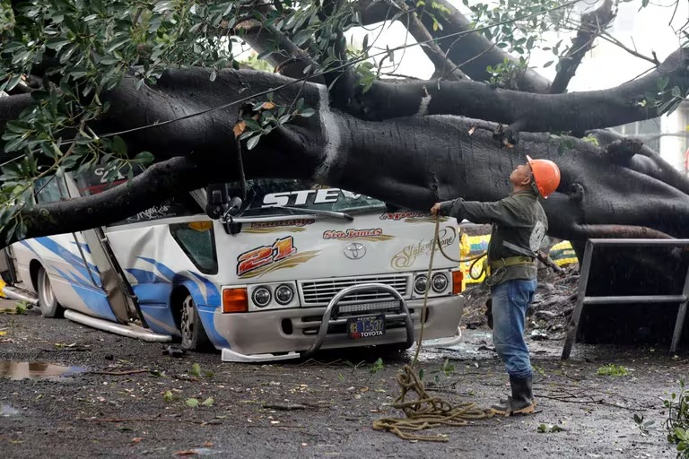 Trabajador municipal observa un árbol que cayó sobre una unidad de transporte público debido a las fuertes lluvias en San Salvador