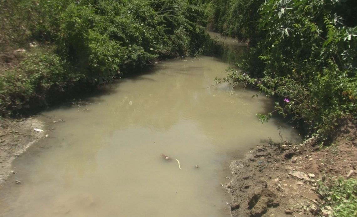 Denuncian agua contaminada en Los Jobos de Azua./