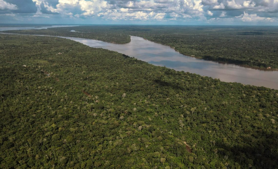 Brasil perdió el 33 % de sus áreas naturales hasta 2023, según estudio