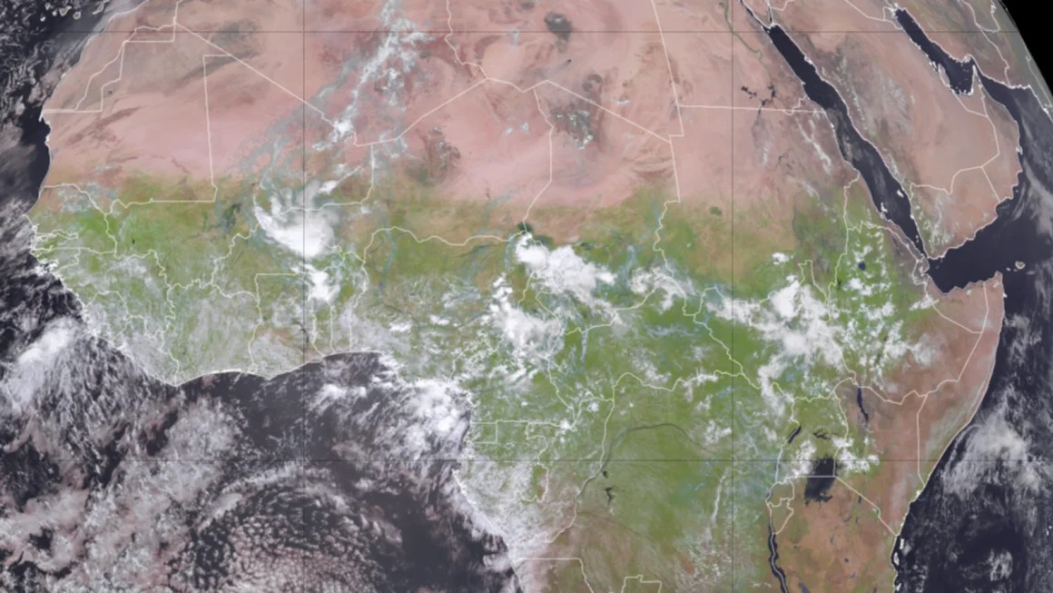 Desierto del Sahara se torna verde tras inusual cambio en el clima