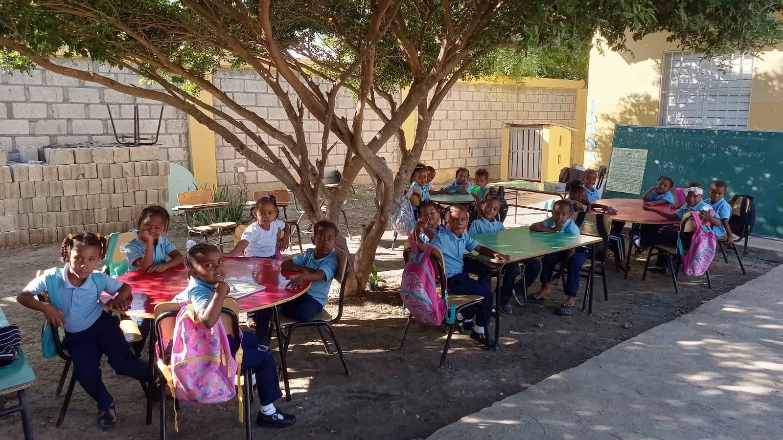 Niños reciben clases debajo de un árbol porque escuela solo tiene 2 aulas, en Villa Palmarejo, Azua