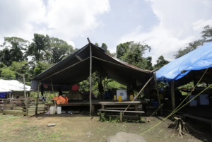 Ubican campamento clandestino de migrantes irregulares en selva panameña del Darién