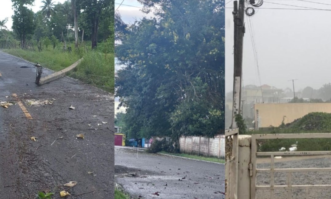 Inundaciones, árboles y poster de luz derribados por torrenciales lluvias en Sabana Grande de Boyá