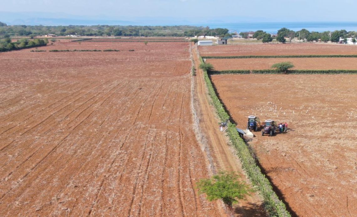 Agricultores en Puerto Plata podrán obtener 7,900 tareas de tierras gratis