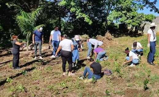 Estudiantes del ITSC participan en jornada de saneamiento y siembra en Parque Ecológico San Isidro